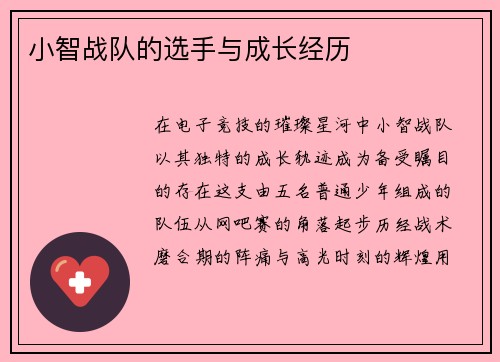 小智战队的选手与成长经历